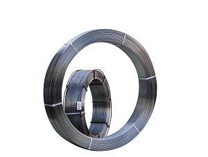 W�β��������ĥ��˿