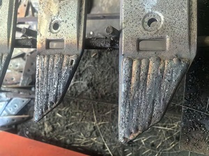 ���Ѻ���ĥ��˿