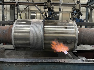 �����Ѻ���ĥ��˿