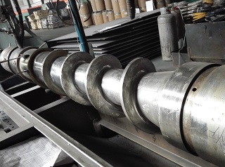 ����ҶƬ�Ѻ���˿����Ǯ